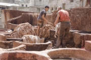 Tannery - Fez III