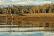 River Reflection