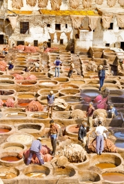 Tannery - Fez I