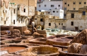 Tannery - Fez II