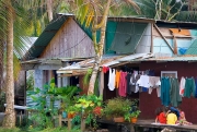 Tortuguera Scene - Costa Rica