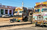 Two Yellow Trucks