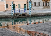 Venice Puddle